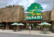 Khám Phá Điều Đặc Biệt Từ Vườn Thú Bán Hoang Dã Safari Phú Quốc Safari Phú Quốc