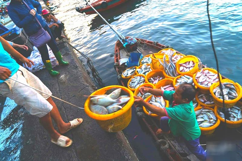 Chợ cá An Thới Phú Quốc