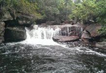 Suối Tiên Phú Quốc – Chốn Du Ngoạn Hoang Sơ Đẹp Mê Mẩn Lòng Người Suối Tiên Phú Quốc