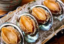 Bào Ngư Phú Quốc – Hải Sản Qúy Và Bổ Dưỡng Mà Khách Du Lịch Không Thể Bỏ Lỡ Bào ngư Phú Quốc- Món ăn bổ dưỡng