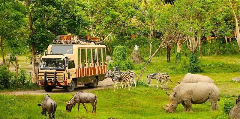 Công Viên Safari