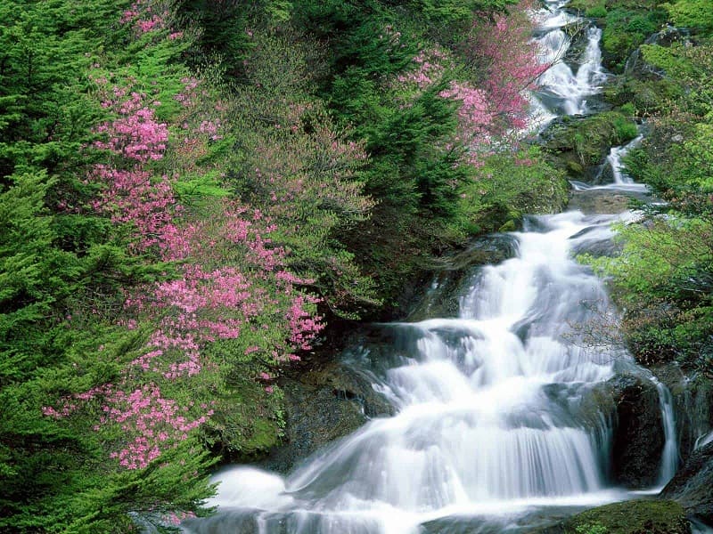 Thiên nhiên núi rừng Phú Quốc